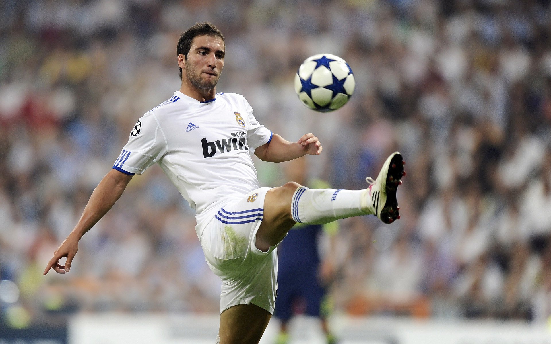 陈艺文逆境翻盘令人动容，tov陈艺文